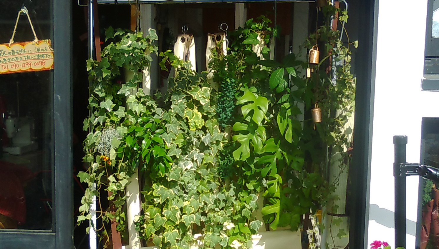 �T���v���C���[�W